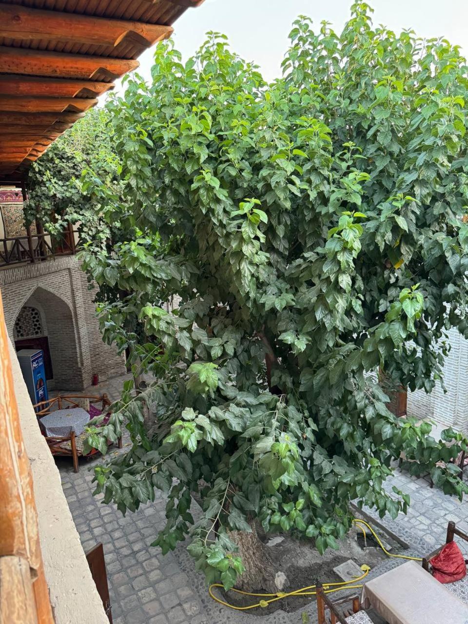 Ohun 18Th Century Caravansarai Bukhara Exterior foto